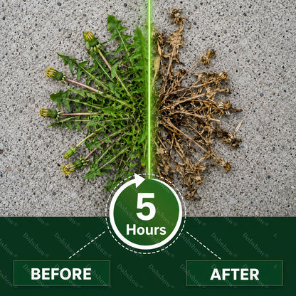 🌿 Healrize® 5-godzinny maksymalny efekt – herbicyd o podwójnym działaniu | Szybko działający granulat na uporczywe chwasty i zarośla 🪴🪴